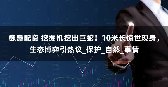 巍巍配资 挖掘机挖出巨蛇！10米长惊世现身，生态博弈引热议_保护_自然_事情